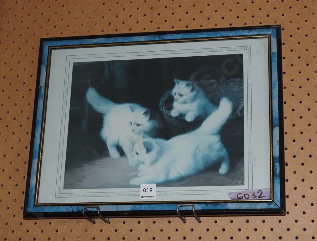 framed print - kittens Image 1++
