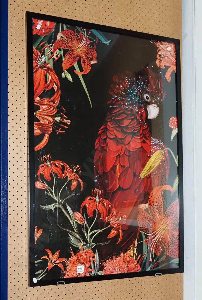 framed parrot poster print Image 1++