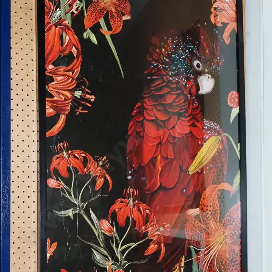 framed parrot poster print