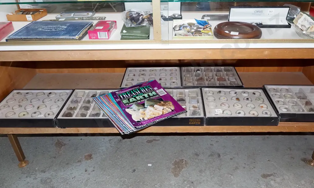 large assortment of Treasures of the Earth minerals and gemstones Image 1++