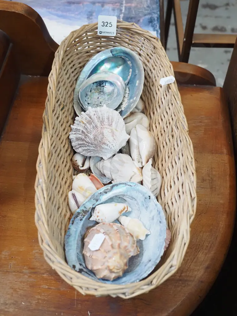 cane basket, seashells Image 1++