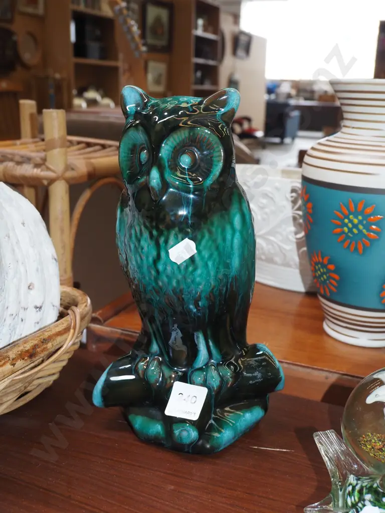 Blue Mountain owl H250 Image 1++