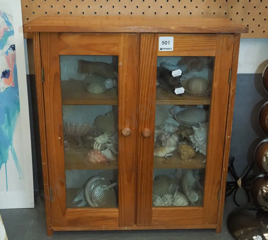 pine display case, various seashells etc H425 W375 D260 Image 1++
