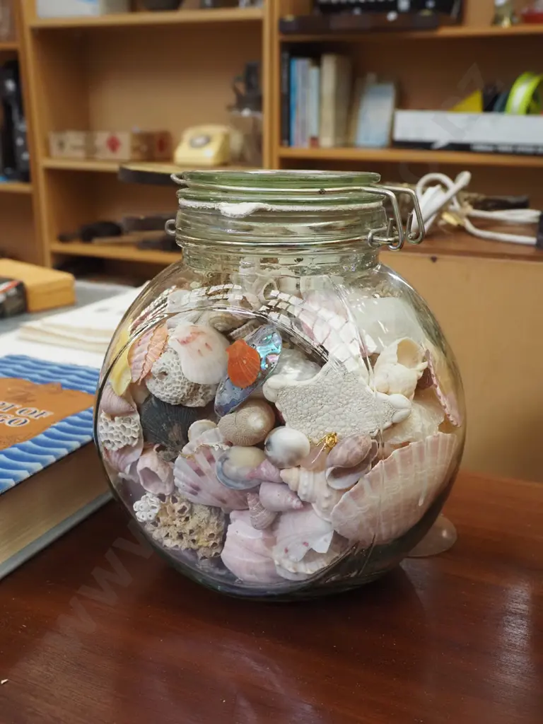 self sealing jar of shells Image 1++
