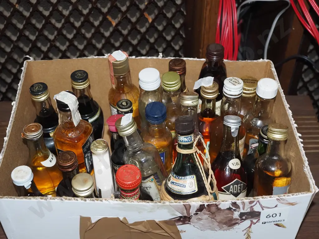 spirit miniatures Image 1++