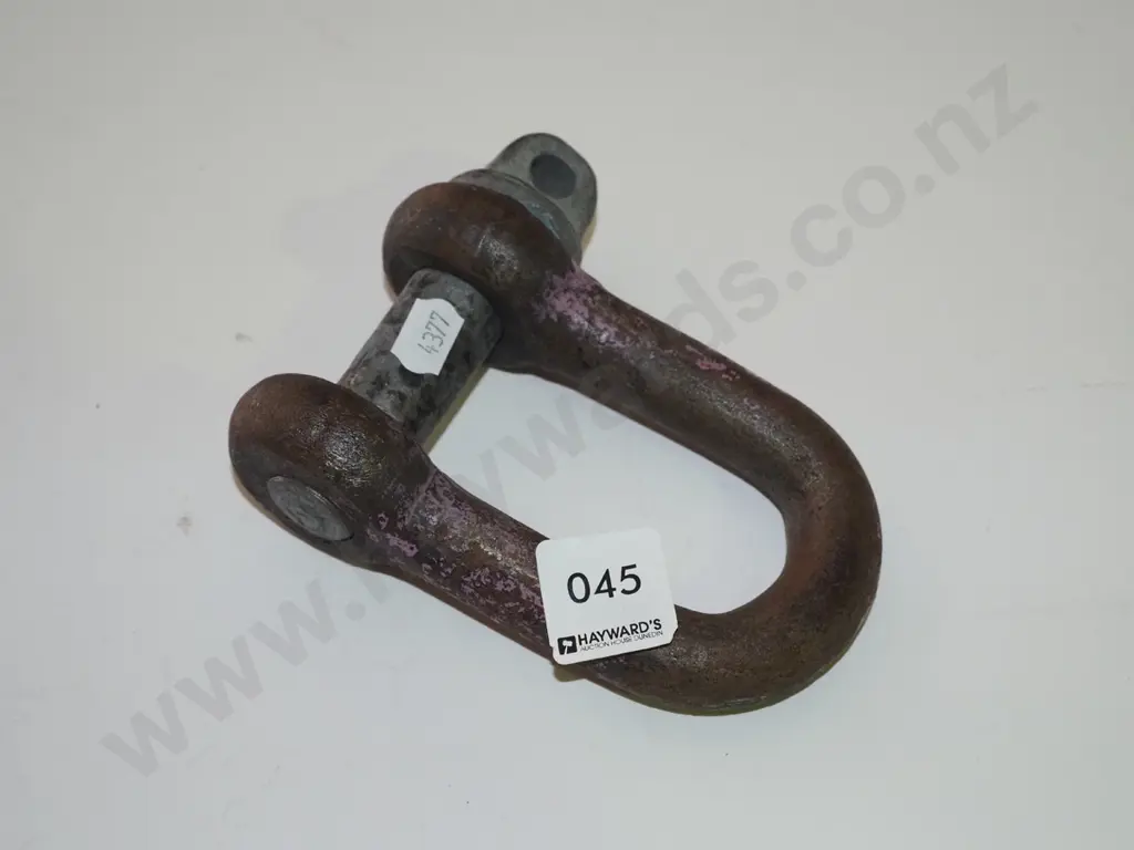 large D shackle Image 1++
