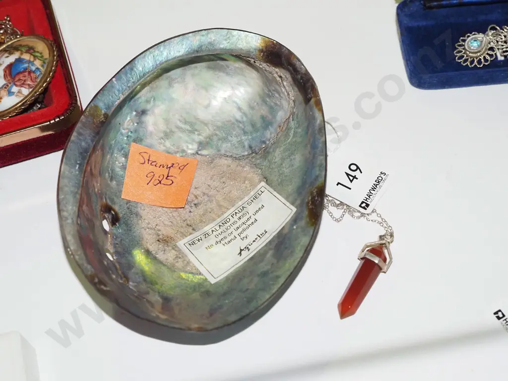 paua shell, pendant with stirling silver mount & chain Image 1++