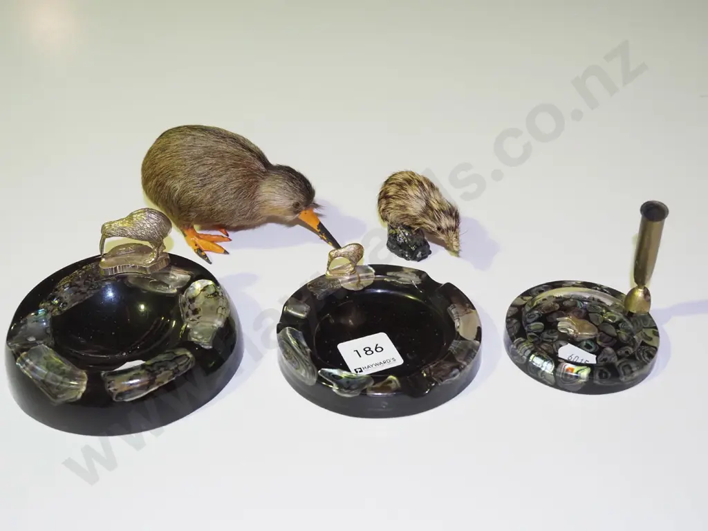 assorted kiwiana souvenir items, paua, ashtray, pens & 2 kiwis Image 1++