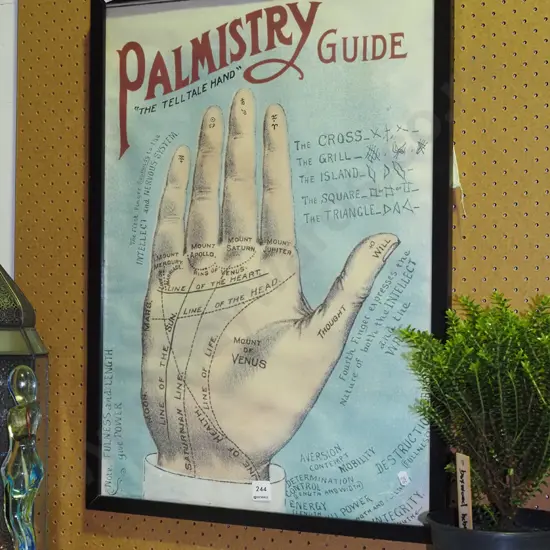 framed Palmistry print