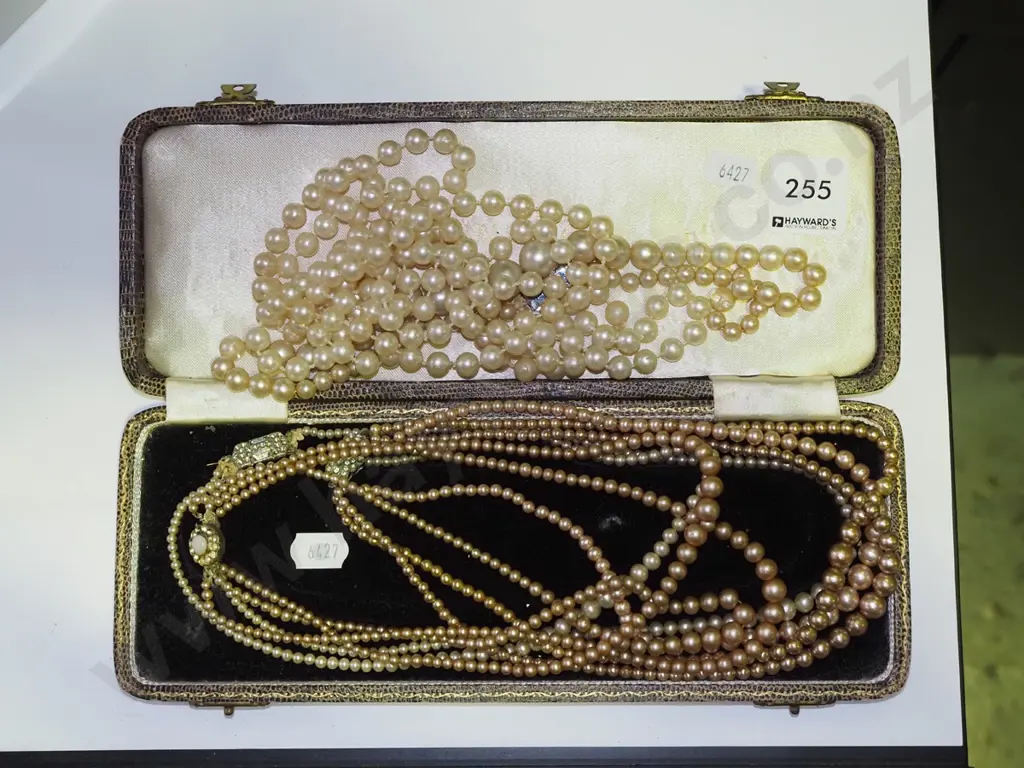 cased costume pearls Image 1++