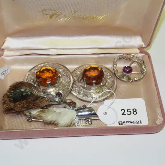 tray; 5 x various brooches