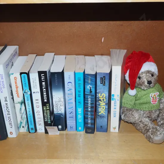 books, teddy bear
