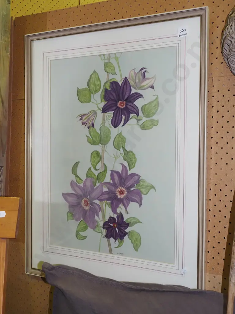 framed ink and watercolour - clematis Image 1++