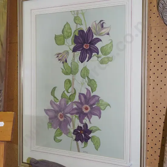 framed ink and watercolour - clematis