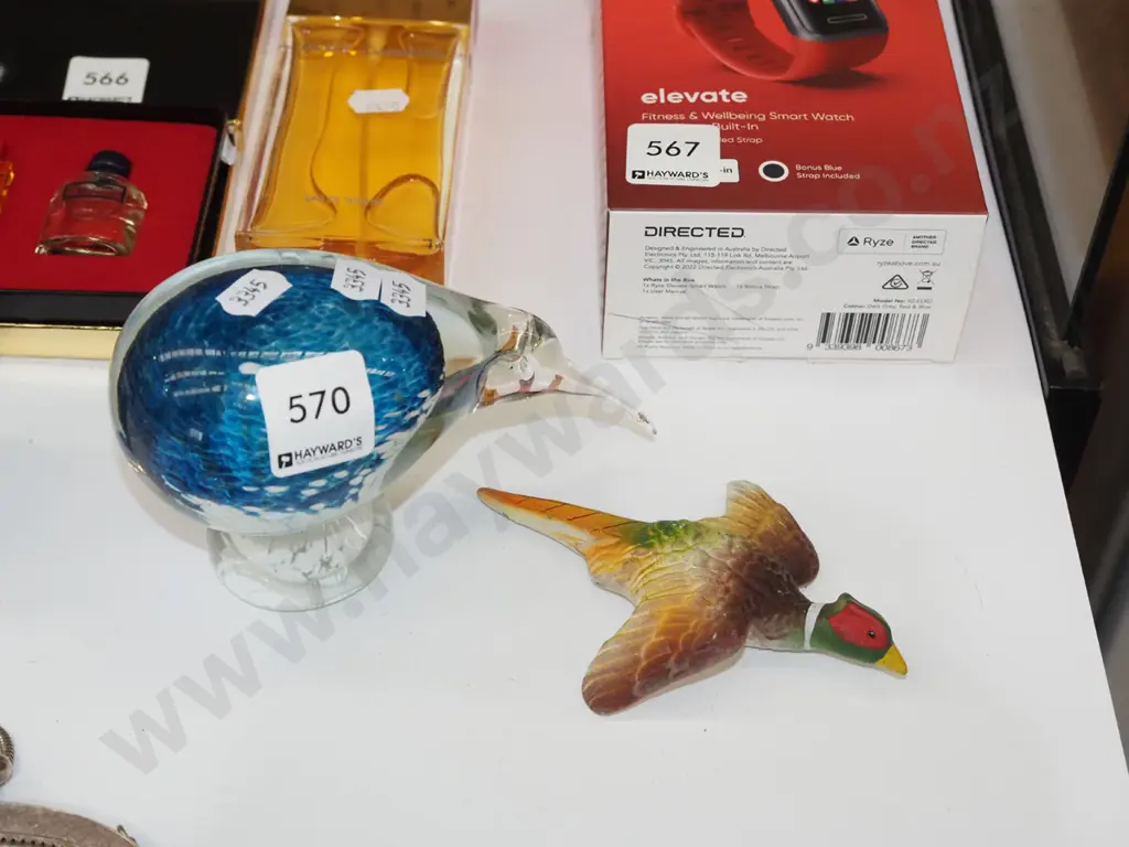 glass ornamental kiwi, wall mounted pheasant Kiwi H100 Image 1++