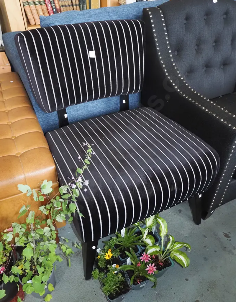 contemporary white and black striped reception/bedroom chair Image 1++