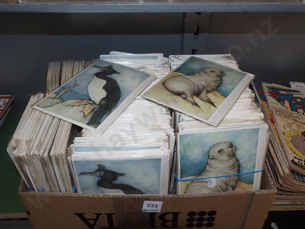 box of Stewart Island shag greeting cards, some seal cards Image 1++