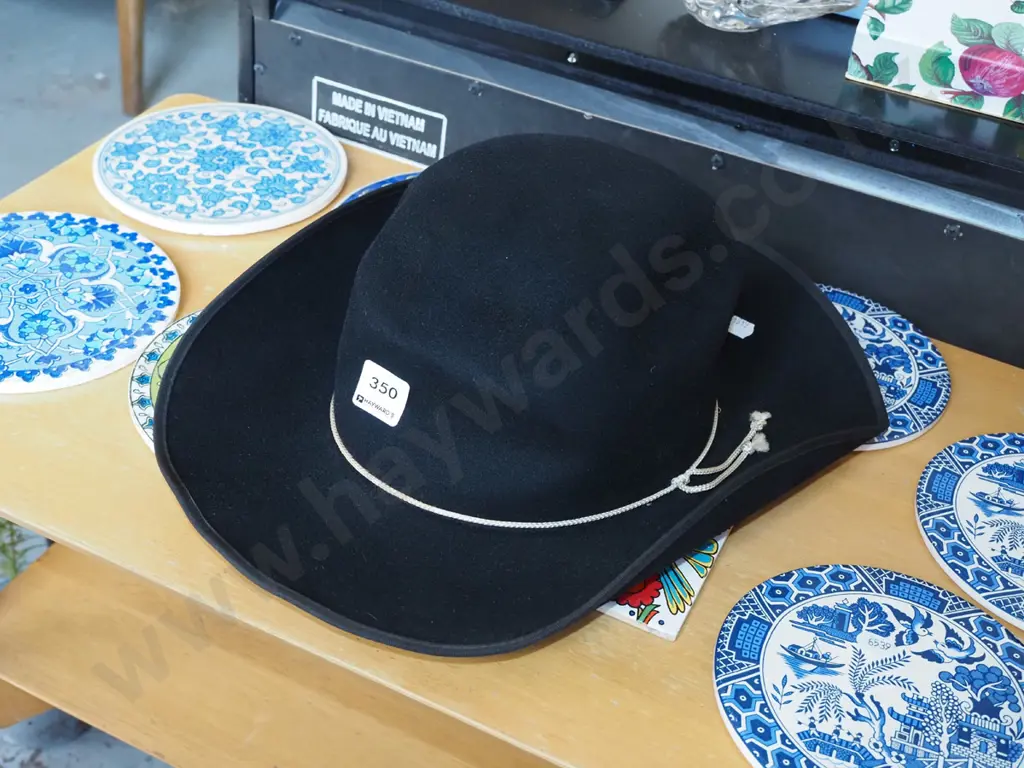 felt cowboy hat Image 1++
