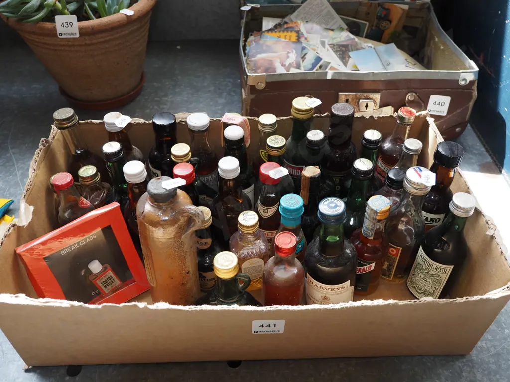 box of spirit miniatures Image 1++