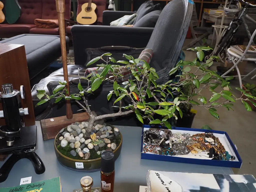 potted bonsai - Total H400 W700 Image 1++