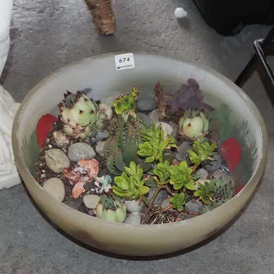 glass bowl, succulents
