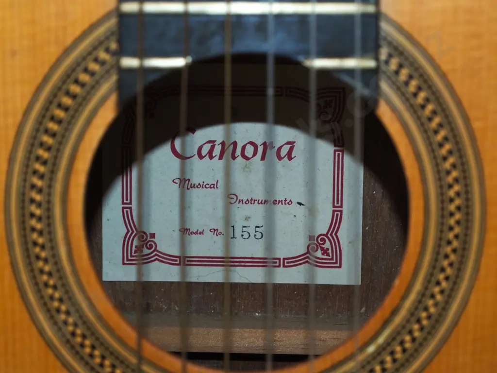Canora acoustic guitar in hard case Image 1++