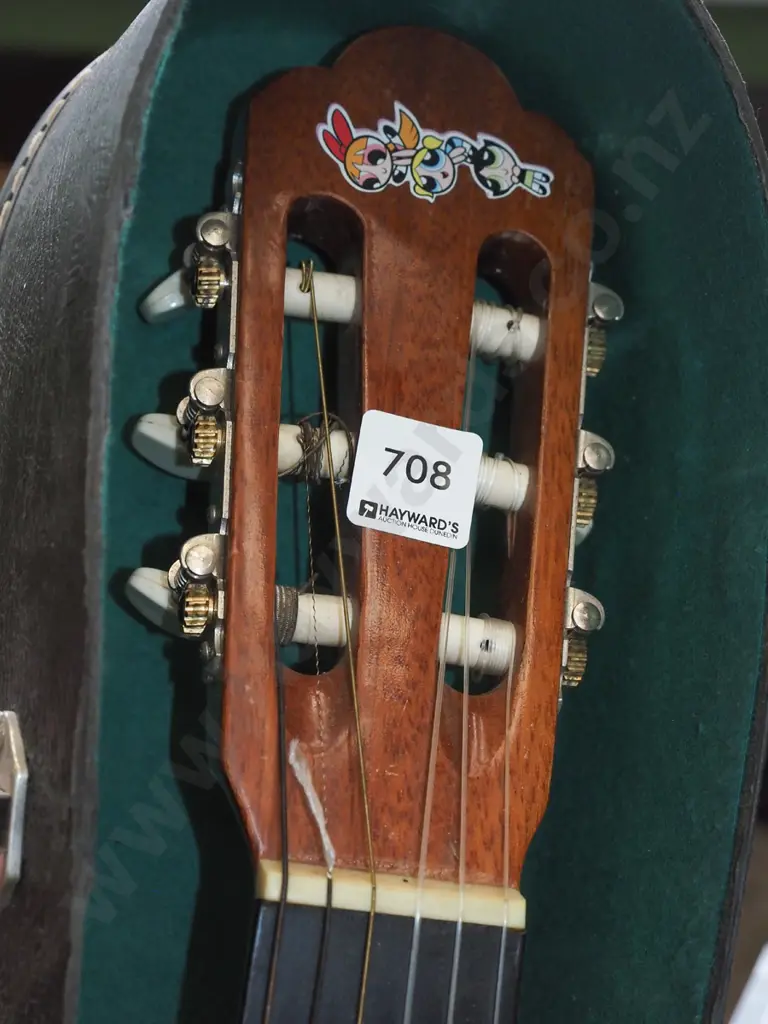 Canora acoustic guitar in hard case Image 1++