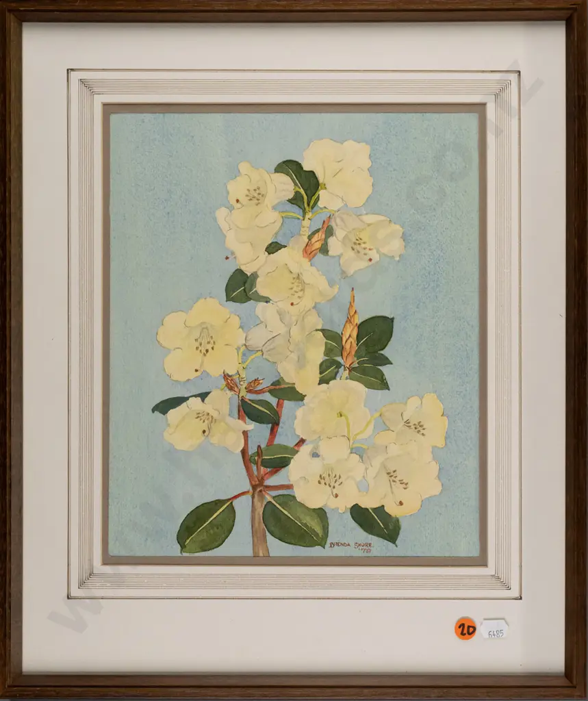Brenda Shore - framed watercolour - rhododendron H285 W240 Image 1++