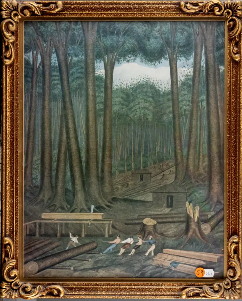 framed historic print - Kauri Forests On The Northern Wairoa River H370 W290 Image 1++