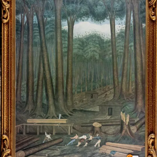 framed historic print - Kauri Forests On The Northern Wairoa River H370 W290