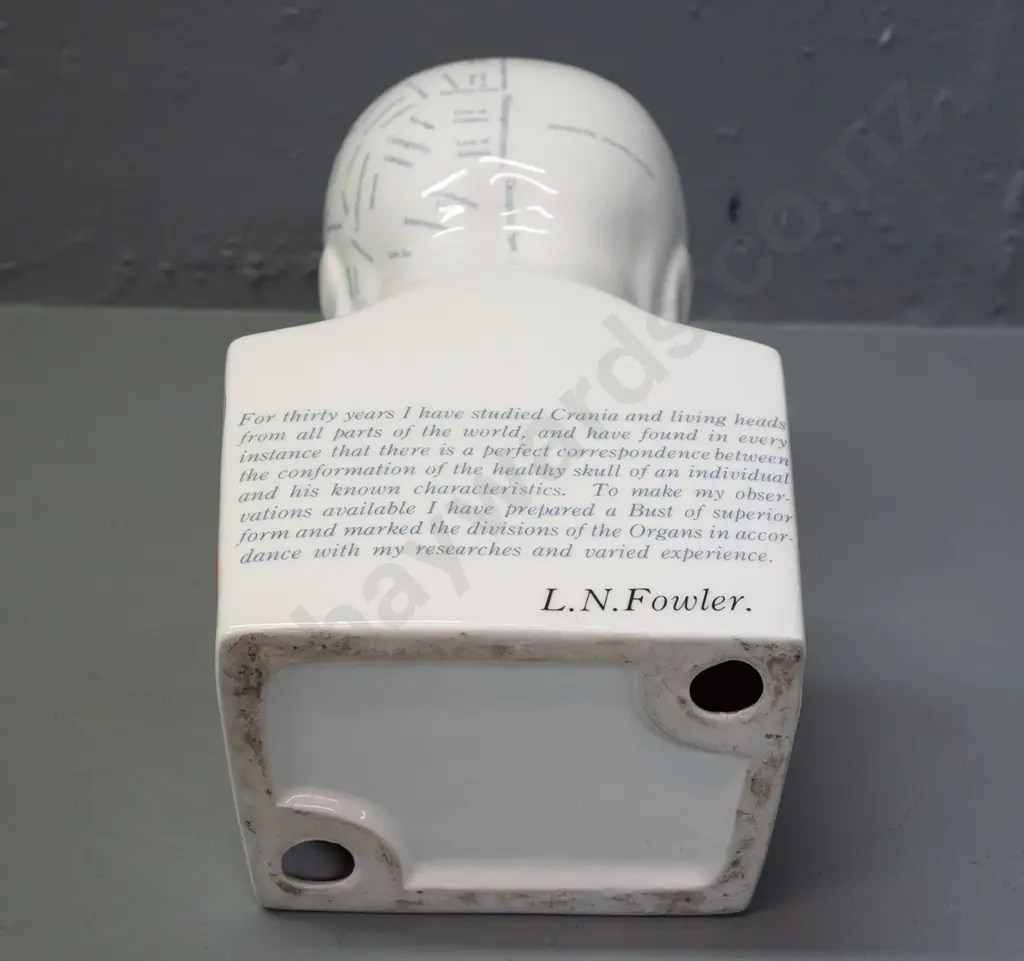 porcelain phrenology head figure - see photos for detail. H-265 W-120 Image 1++