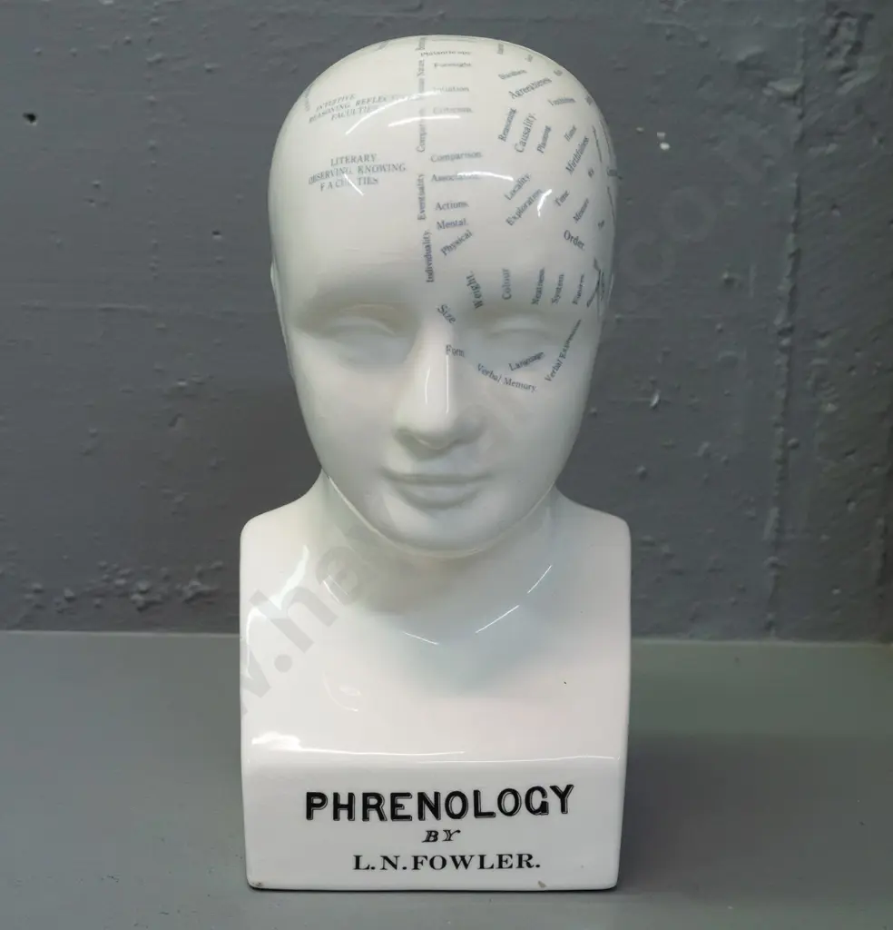 porcelain phrenology head figure - see photos for detail. H-265 W-120 Image 1++