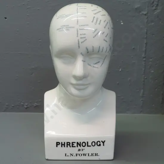 porcelain phrenology head figure - see photos for detail. H-265 W-120