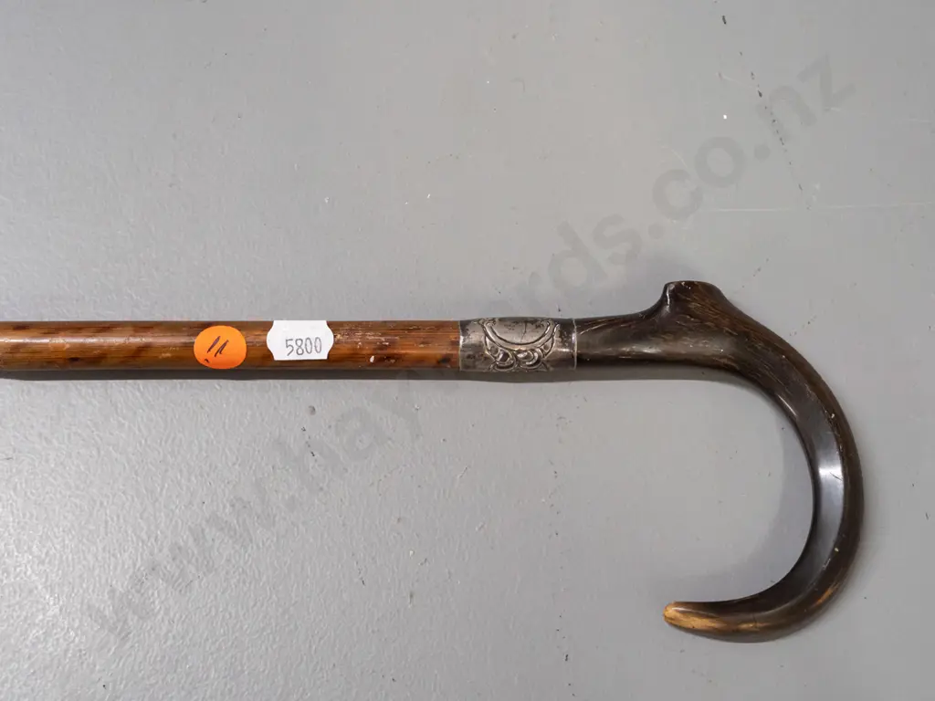 walking cane with horn handle and silver (maybe sterling?) band and brass ferrule - has a short loss or gouge L-910 Image 1++
