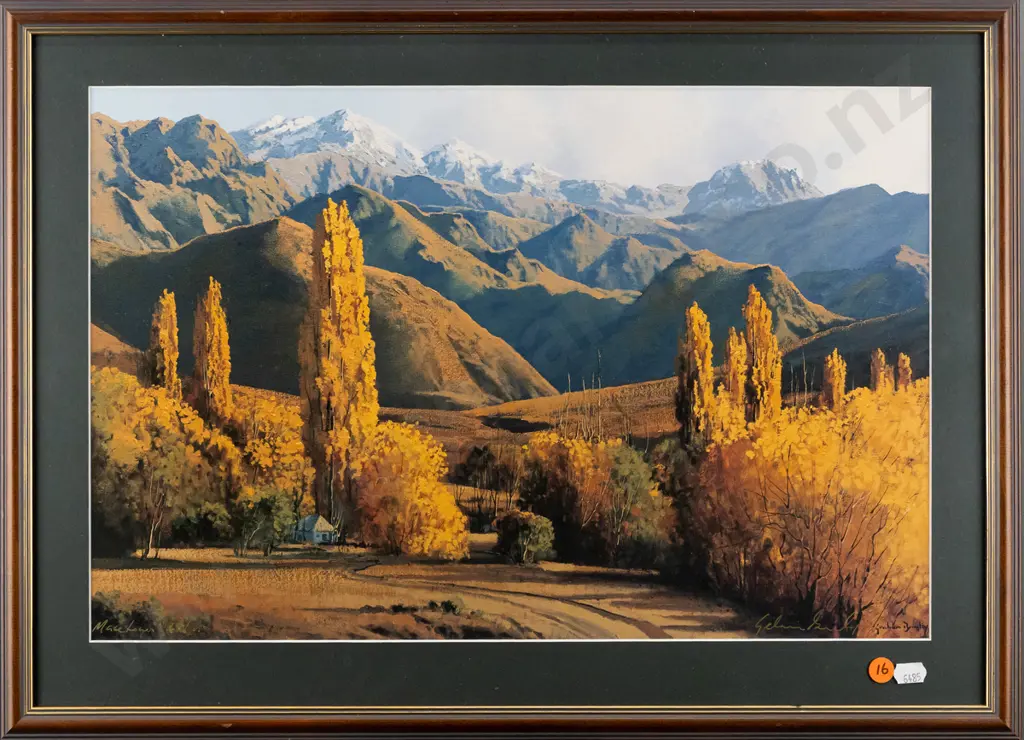 framed signed Graham Brinsley ltd edition print 27/100 "Macetown" H300 W460 Image 1++