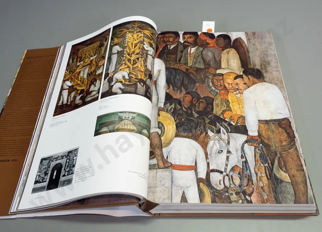 Deigo Rivera, complete murals, Taschen Book  2008 Image 1++