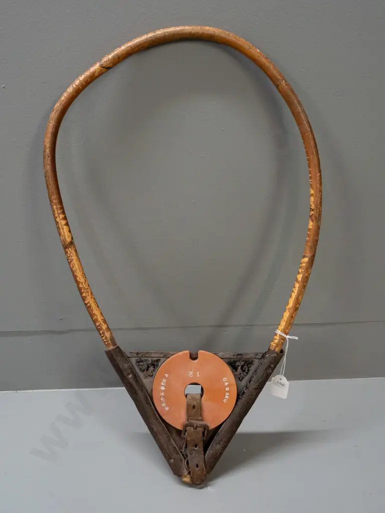 vintage railway tablet holder with replacement tablet marked Oamaru & Waiareka - with  bamboo hoop. Age and paint wear, Image 1++