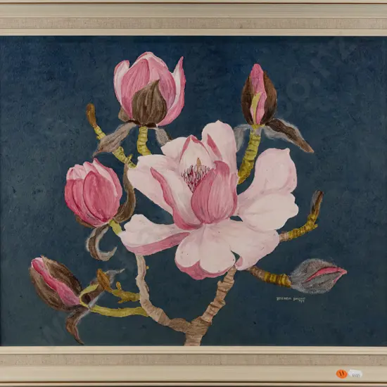 Brenda Shore '77 - framed acrylic "Magnolia campbellii" H390 W490