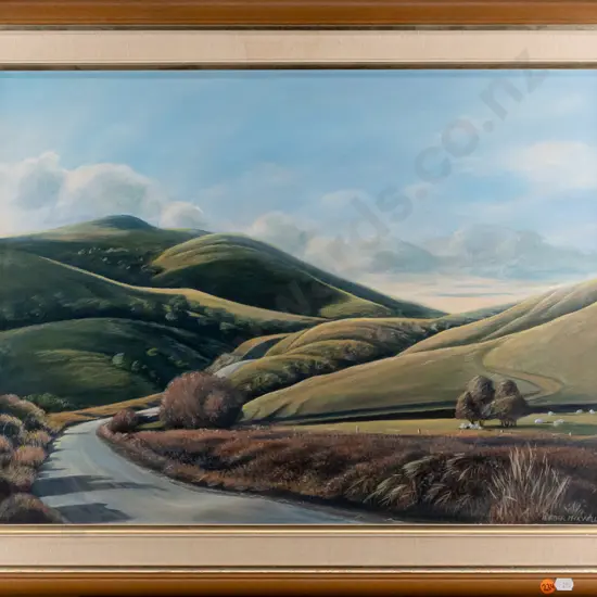 Heather Maxwell - framed acrylic "The Hills of Glenomaru - Catlins" H440 W590
