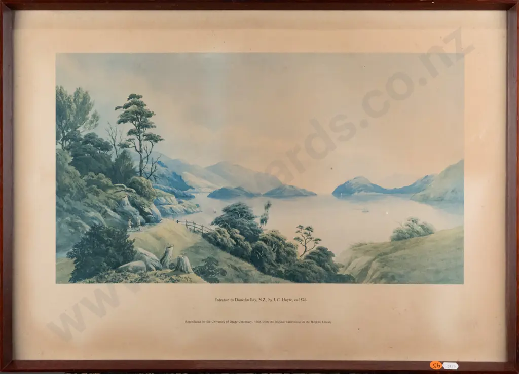 framed historic Dunedin print  H275 W460 (fading, foxing) Image 1++