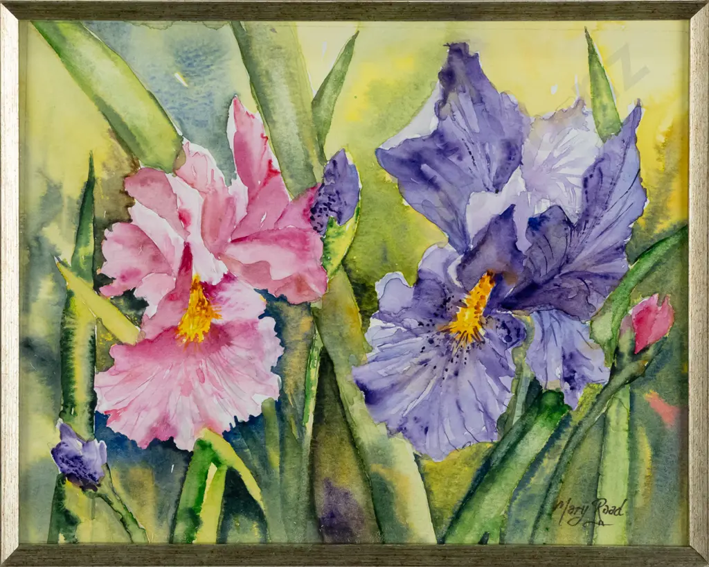Mary Raad - framed watercolour - irises H180 W230 Image 1++