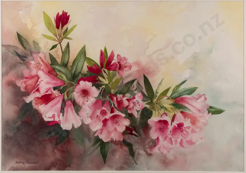 Audrey Bascand - framed watercolour - rhododendrons H370 W530 Image 1++