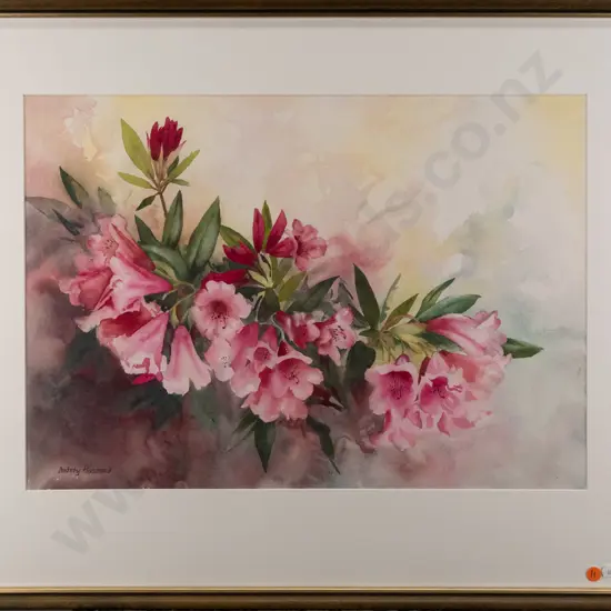 Audrey Bascand - framed watercolour - rhododendrons H370 W530