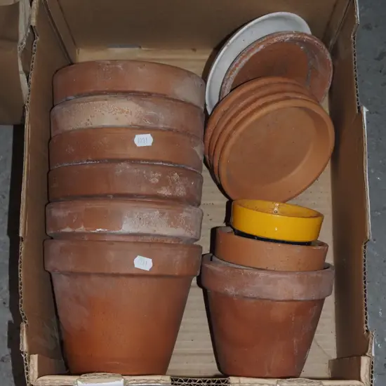 box; small terracotta planters
