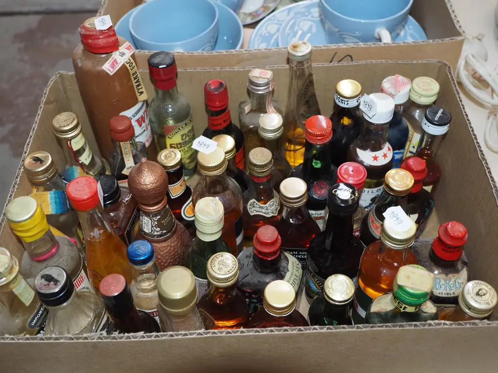 box of spirit miniatures Image 1++