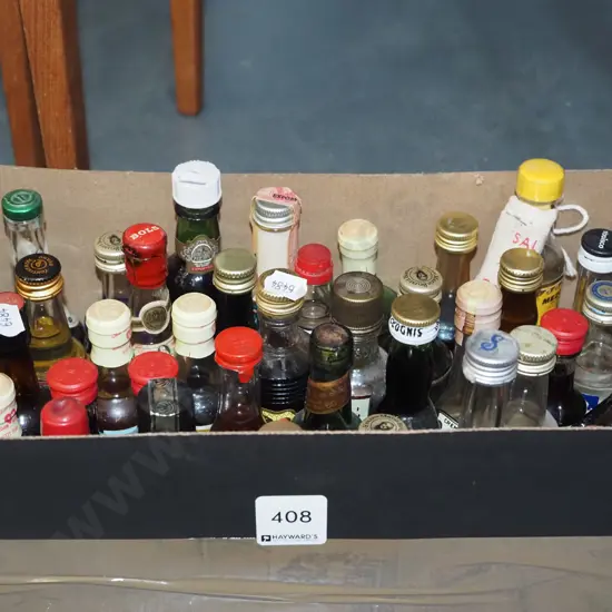 box of spirit miniatures