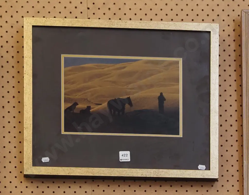 framed photo - Central Otago shepherd, horse and dogs Image 1++