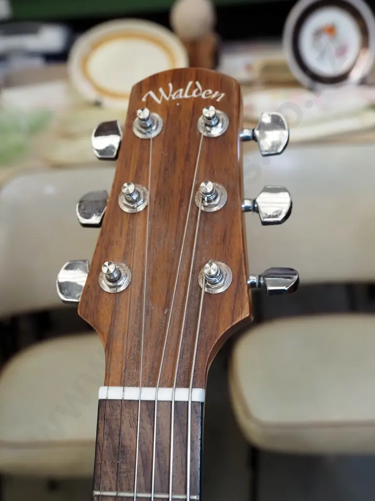 Walden left-handed acoustic guitar Image 1++