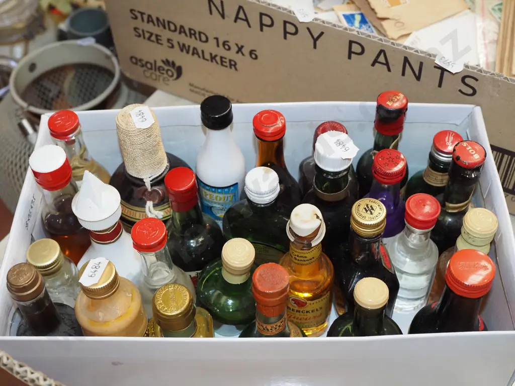 box of spirit miniatures Image 1++