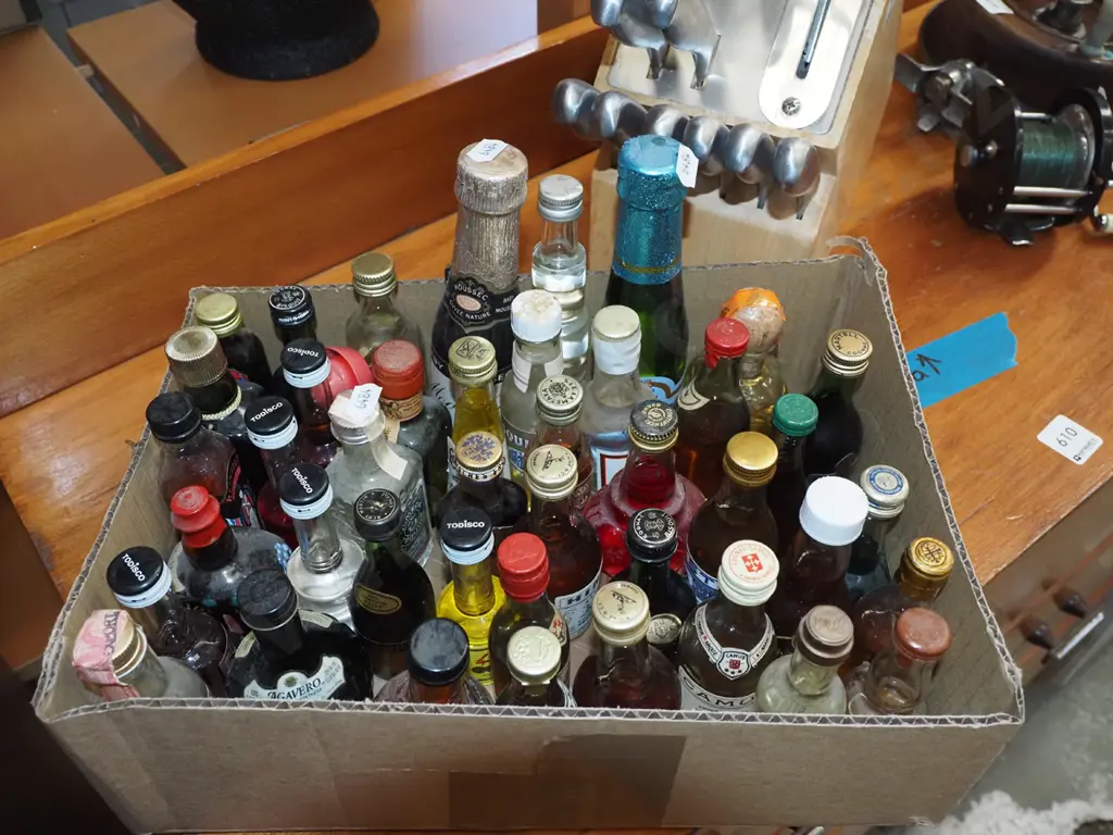 box of spirit miniatures Image 1++